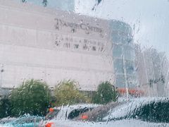 -唐拉雅秀酒店-唐苑中餐厅
