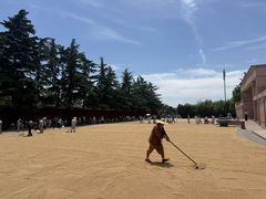-洛阳白马寺