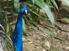 -泉州海丝野生动物世界