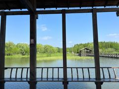 -溱湖国家湿地公园