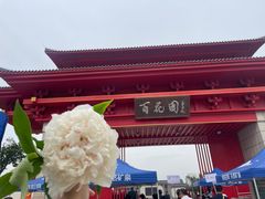 -曹州百花园