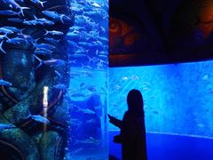 -波塞冬旅游度假区