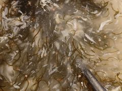 -农家乐·福建土菜(金榕北路店)