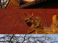 -故宫博物院(故宫)