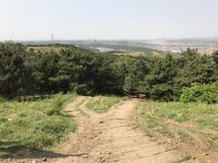 -高尔山公园