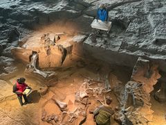 -自贡恐龙博物馆