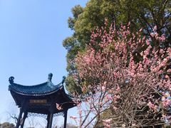 -无锡梅园公园