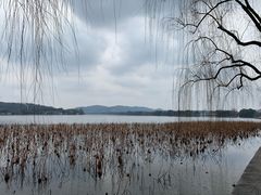 -西湖外事游船(花港观鱼码头)