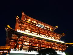 -杜甫江阁