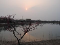 -泗洪洪泽湖湿地景区