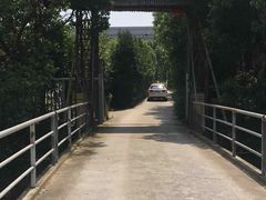 -南汇新场正宗水蜜桃采摘