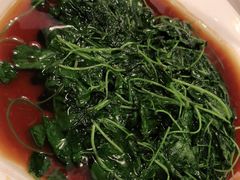 -新聚丰菜馆(太监弄店)