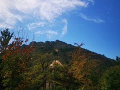 -北京鹫峰国家森林公园