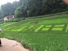 -韶山毛泽东同志故居