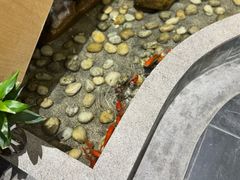 -小糖朝(恒信店)