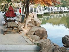 -白马涧龙池景区