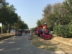 -永定河休闲森林公园