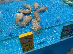 -三亚火车头万人海鲜广场