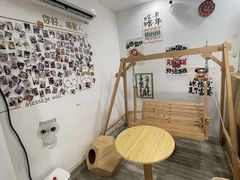 -楼上猫咖(罗湖店)