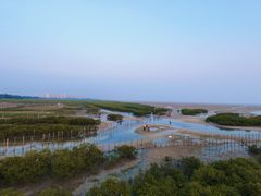-北海金海湾红树林生态旅游区