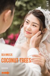 -现代经典婚纱摄影