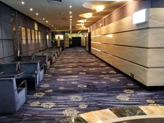 -飞扬影城(正佳IMAX店)