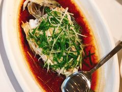 清蒸立鱼-强记海鲜·大排档(蛇口新街店)