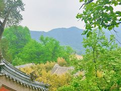 -潭柘寺景区