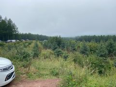 -塞罕坝国家级自然保护区