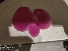 -Dragonfly 悠庭·按摩Spa(苏州中心广场店)