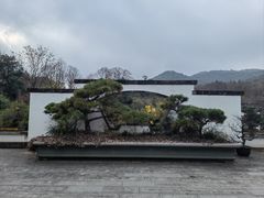 -杭州植物园