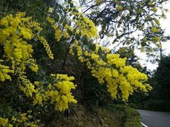 -广州市流溪河国家森林公园