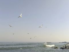 -海合安青岛极地海洋公园