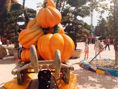 -大连海昌发现王国主题公园