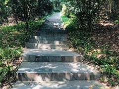 -杭州半山国家森林公园