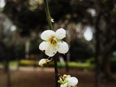 -金山公园