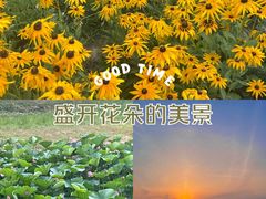 -莫子山公园