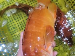-杨屋道街市