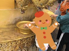 -西双版纳勐泐文化旅游区