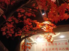 -香坝坝鲜鱼火锅(春熙路店)