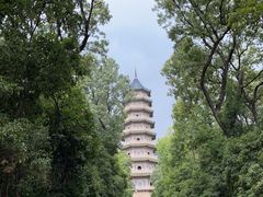 -灵谷景区