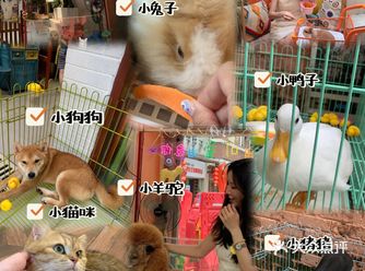 撸宠+换装+拍照一站式体验｜被萌宠治愈的一天！！