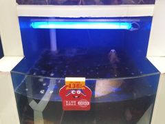 -七欣天香辣蟹火锅(苏州相城VIP总店)