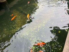 -麦雪尔甜品·生日蛋糕(新街口旗舰店)