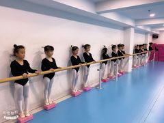 -西安小天鹅艺术团(曲江Alice店)