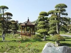 景点-武汉紫薇都市田园