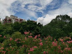 -黄埔荔枝公园