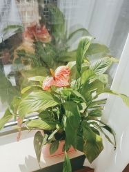 -美悦妈妈产后修复中心