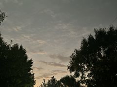 -太子山公园(园东路)