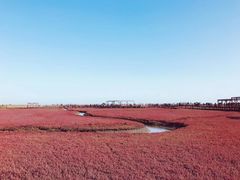 -红海滩国家风景廊道